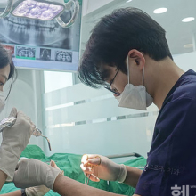 만족스러운 임플란트 시술 위해서는 ‘골유착이 중요’ [강용욱 원장 칼럼]