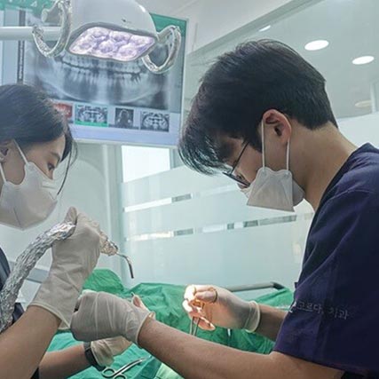 치주질환 예방하는 스케일링