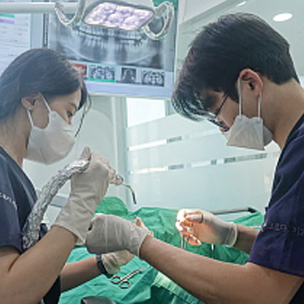 출혈·통증 최소와 맞춤치료 내비게이션 임플란트