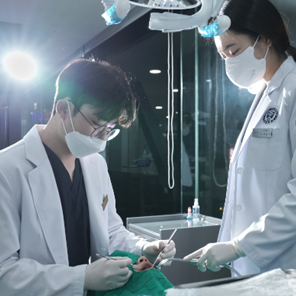 위쪽 어금니 임플란트, '상악동거상술' 필요... 사전 고려 사항