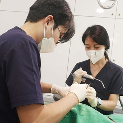 임플란트 염증, 예방을 위한 사후 관리 중요성