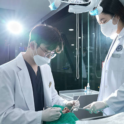 임플란트 보철물, 재료 선택이 결과를 좌우한다 [강용욱 원장 칼럼]
